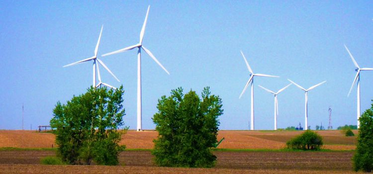  5 reasons why a wind farm development can be a complex transaction